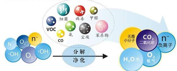 净化原理.jpg 净化原理.jpg