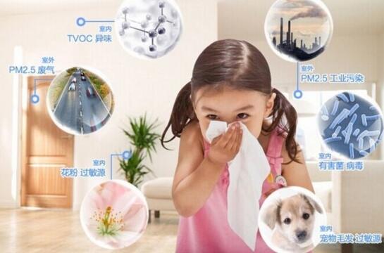 过敏性鼻炎多发，室内空气污染“幕后黑手”竟然是微生物！