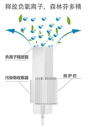 森林芬多精 森林芬多精