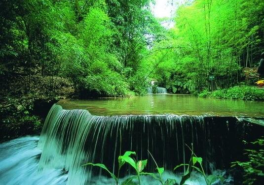 ���������д�С֮�֣�С���������Ӳž��п�������������������Ч��