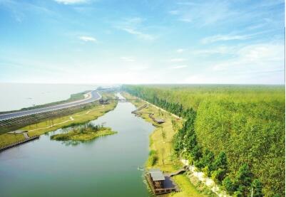 ��̬��������