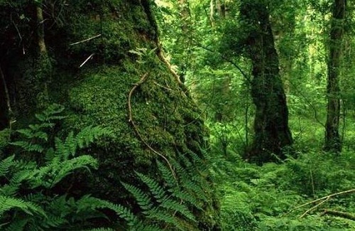 ��̬��������