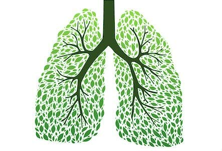 腹式呼吸+空气负离子 给我们的肺做自助按摩