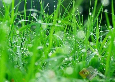 �����ӿ�������������Ǯ