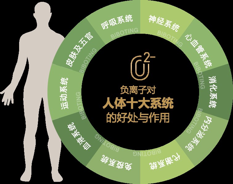 �����ӿ�����������ɱ���ڿ����Ĺ����У���������ĸ����Ӷ����ǵĽ��������޺�