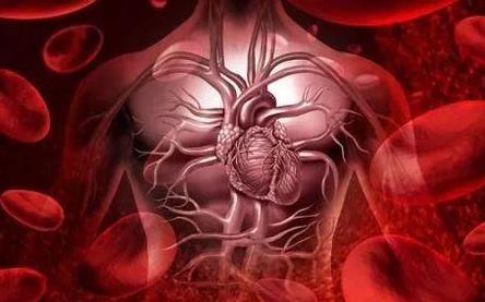 负离子对于改善心脏功能和改善心肌营养也大有好处