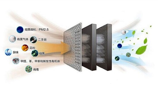 ���������ľ����׶�