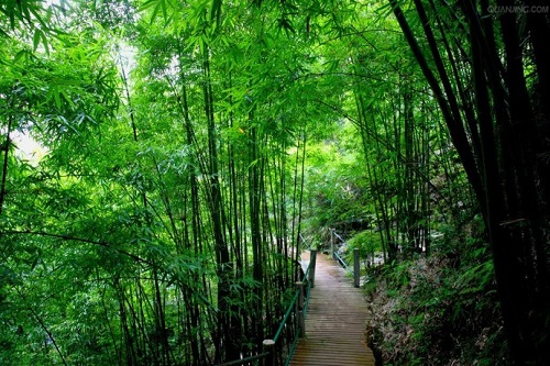 负氧离子改善环境 负氧离子改善环境