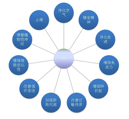 负氧离子的功能作用 负氧离子的功能作用