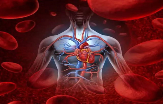负离子对心血管系统有良好的疗效