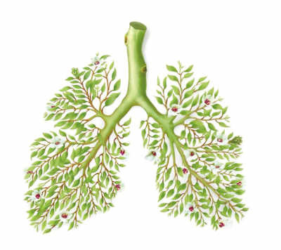 PM2.5对肺的伤害不可逆