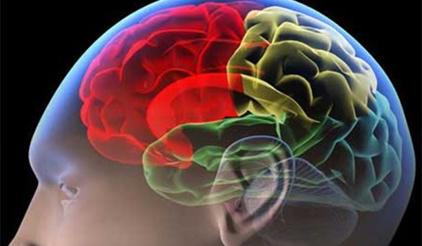 雾霾会对大脑造成永久性损坏